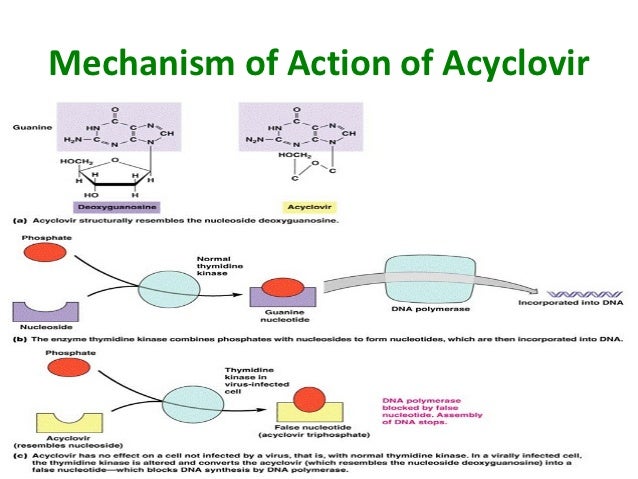 acyclovir action