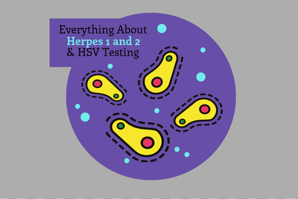 Herpes 1 and 2: Definition, Overview &  Testing Information